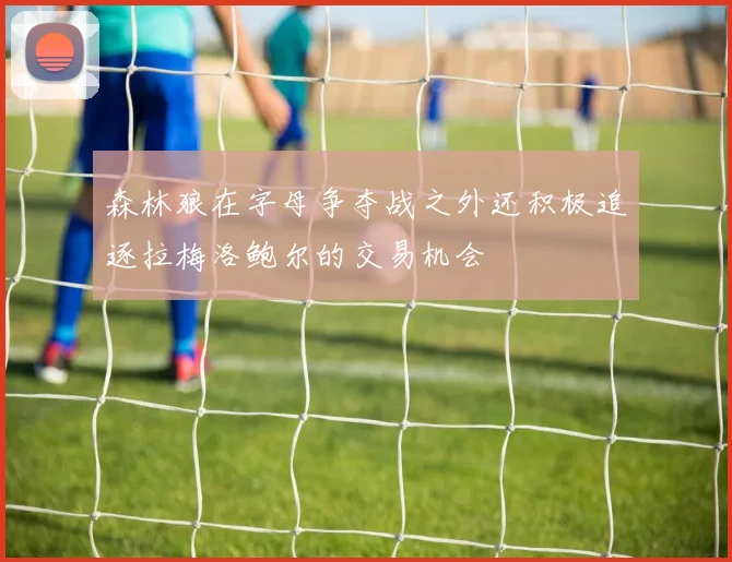 森林狼在字母争夺战之外还积极追逐拉梅洛鲍尔的交易机会