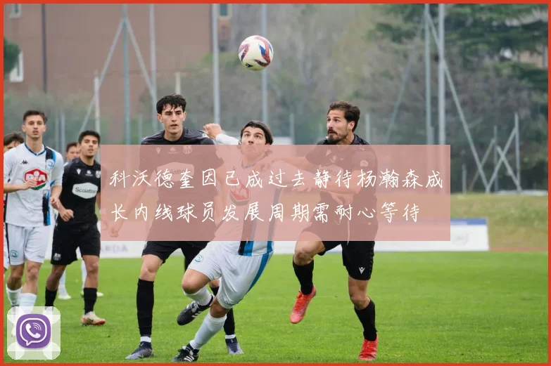科沃德奎因已成过去静待杨瀚森成长内线球员发展周期需耐心等待