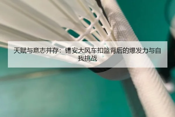 天赋与意志并存:锡安大风车扣篮背后的爆发力与自我挑战(KYgaming)